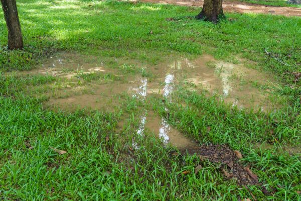 Cost of Storm Water Drainage Service in Issaquah