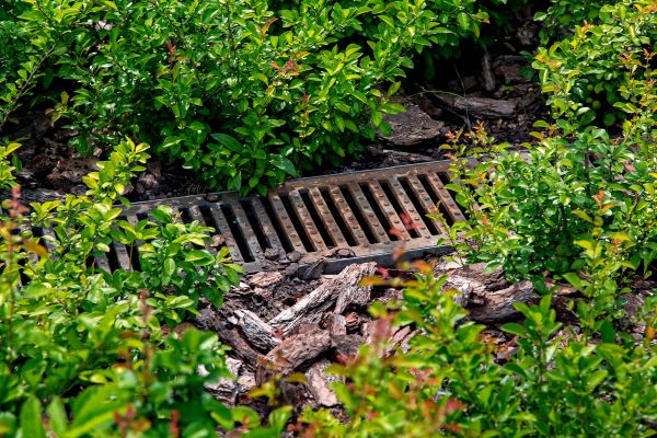 Cost of Underground Drainage Service in Issaquah