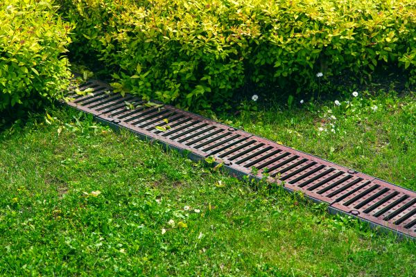 Cost of Lawn Drainage in Issaquah