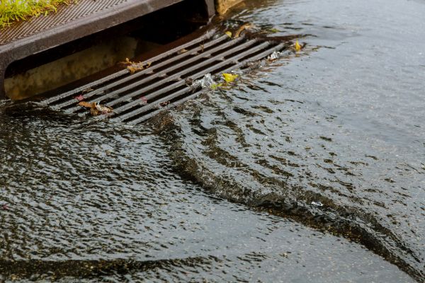 Cost of Storm Drainage Service in Issaquah