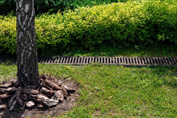 Cost of Yard Water Redirection in Issaquah