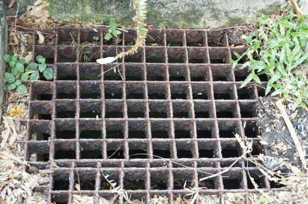 Cost of Yard Drain Cleaning in Issaquah