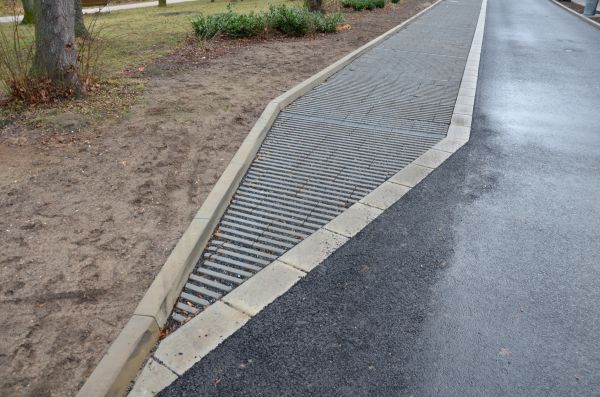 Cost of Muddy Yard Drainage in Issaquah