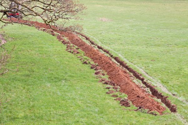 Cost of Swale Installation in Issaquah