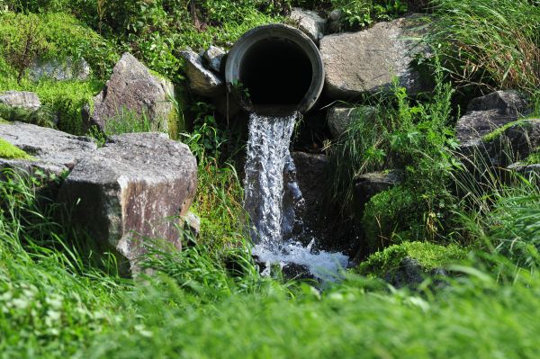 Cost of Water Redirection in Issaquah