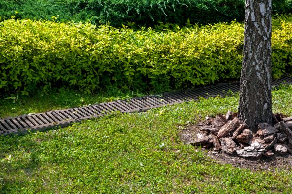 Cost of Residential Landscape Drainage in Issaquah