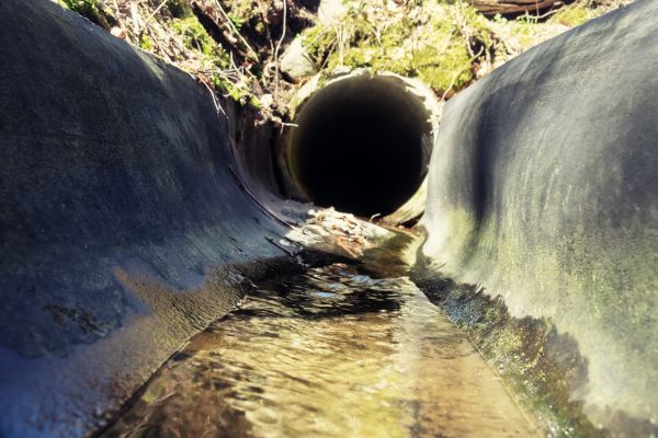 Drainage Swale Installation in Issaquah