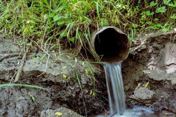 Drainage Tile Repair in Issaquah