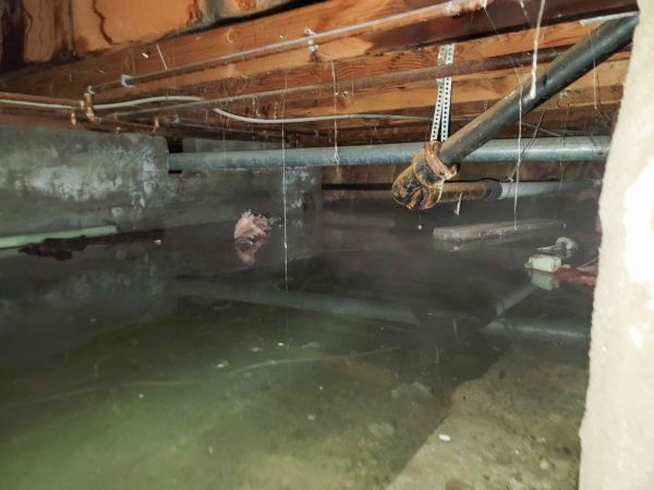 Cost of Crawlspace Drainage in Issaquah
