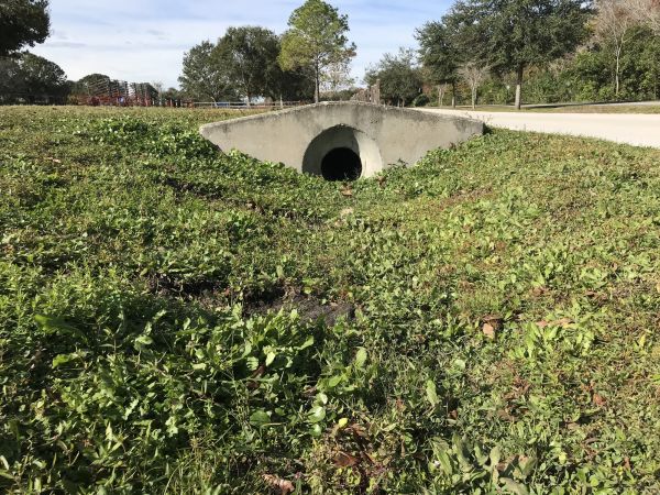 Cost of Swale Drainage Service in Issaquah